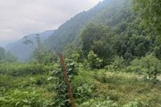 واحد مبله دوبلکس چهارخواب رازِ مه در طبقه اول ویلای تالش