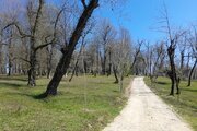 کلبه دو خواب چوبی افرا در شیرگاه