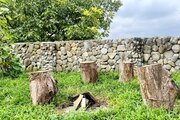 واحد مبله تک خواب خورشید در ویلا بابل