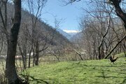 کلبه چوبی تکخواب مبله در ماسال