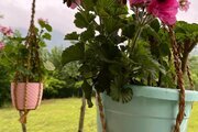 ویلا باغ تکخواب مبله در فومن