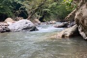 واحد دوخواب در طبقه اول ویلای جنگلی ماسال