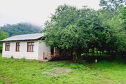 کلبه جنگلی تکخواب مبله در تالش سراگاه