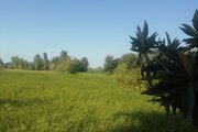 سوئیت مبله 50 متری در رشت