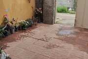 سوئیت تکخواب در چمستان