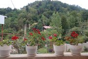 واحد مبله دوخواب در طبقه اول ویلا جلیلی در ماسال