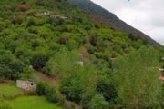 کلبه تکخواب بام سبز کارن در ماسال