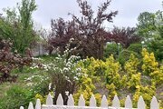 ویلا تکخواب در لاهیجان