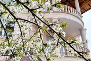 واحد دوخواب در طبقه اول ویلا گل باران در کلاردشت