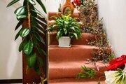 آپارتمان تکخواب مبله در مهاباد