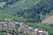 واحد مبله دوخواب طبقه اول ویلا جنگلی در سوادکوه