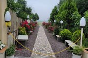 آپارتمان مبله تکخواب در سهیل خمام