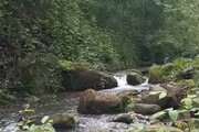 کلبه سوئیسی جکوزی دار تک خواب پارادایس در رامسر
