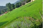 واحد تکخواب در طبقه دوم ویلای تالش
