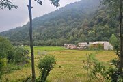 کلبه چوبی تکخواب مبله در ماسال