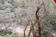کلبه سوئیسی مبله تکخواب باراد در ماسوله