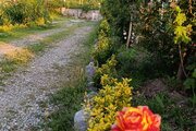 واحد دو خواب افرا در طبقه اول ویلای لیسار