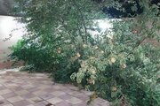 آپارتمان مبله دو خوابه در ازنا
