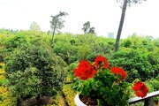 واحد دوخواب در طبقه دوم ویلا جنگلی رامسر