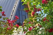 کلبه سوئیسی چوبی دوخواب سعادتی در اسالم