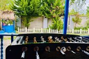 ویلای چوبی  دوبلکس جکوزی دار  در ماسال