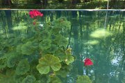 ویلا پنج خواب مبله جنگلی در تالش