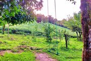 کلبه جنگلی  تکخواب مجنون در فومن