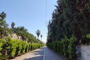 ویلا تریپلکس چهار خواب استخردار در سرخرود