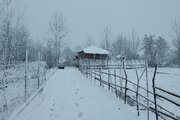 کلبه چوبی مبله افرا در لاهیجان