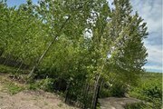 کلبه سوئیسی سه خواب وَزَن در ماسال