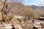 ویلا تکخواب کنار رودخانه در ماسال