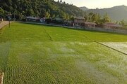 باغ ویلا دوخواب مبله فرهنگ در تالش