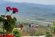 سوئیت ویلا در ساری