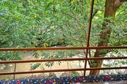 ویلا دو خواب چوبی در محمود آباد