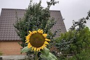 کلبه چوبی دوبلکس در گرگان