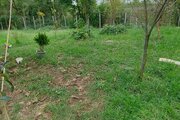 کلبه سوئیسی دوبلکس دوخواب در رشت