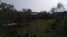 ویلا باغ دریاچه دو خواب در آمل