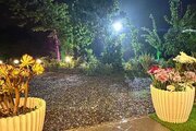 کلبه سوئیسی تکخواب در نور