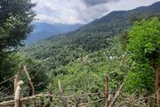 ویلا جنگلی دوخواب مبله در شفت