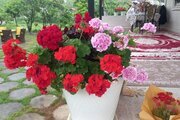 خانه ویلایی دو خواب مبله در ماسال