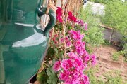 ویلا تکخواب چیچینی در رشت