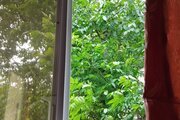 ویلا دوبلکس دو خواب مبله در سیاهکل