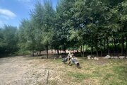 کلبه دوبلکس جنگلی تکخواب درختی جهان در کیاده ساری
