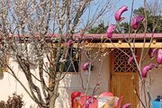سوئیت ویلا جنگلی در فومن