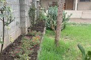 ویلا مبله تکخواب در رشت