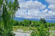 کلبه سوئیسی دوبلکس تکخواب امیر در ماسال