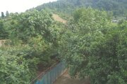 واحد طبقه دوم خانه روستایی در تالش