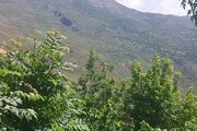 واحد مبله دوخواب فیلبند در طبقه دوم ویلای آمل