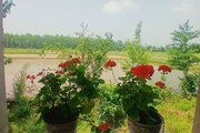 ویلا دوبلکس در ماسال
