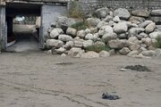 آپارتمان مبله دوخواب ساحلی ارغوان در نوشهر